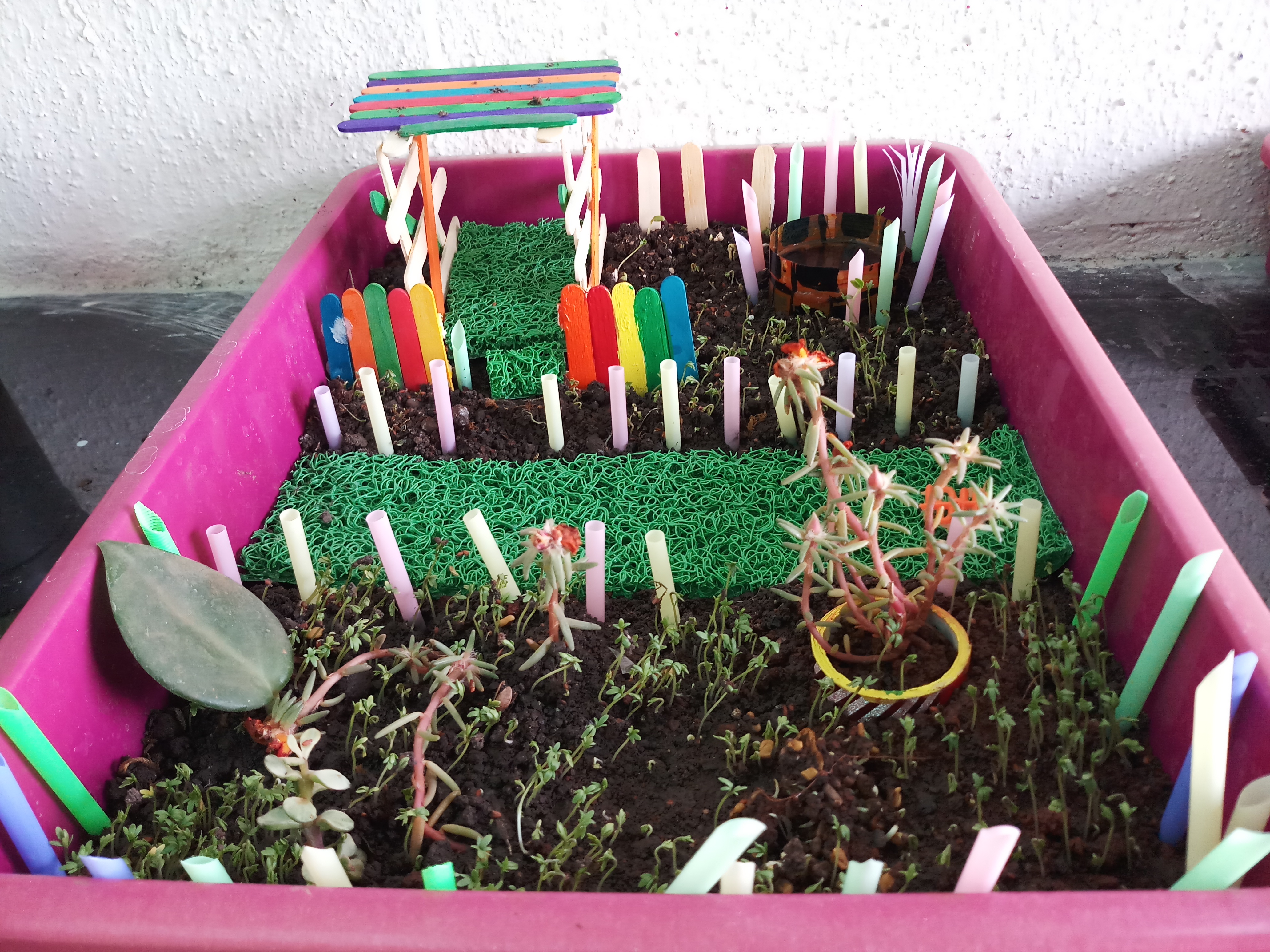 Kadamwakwasti preschool