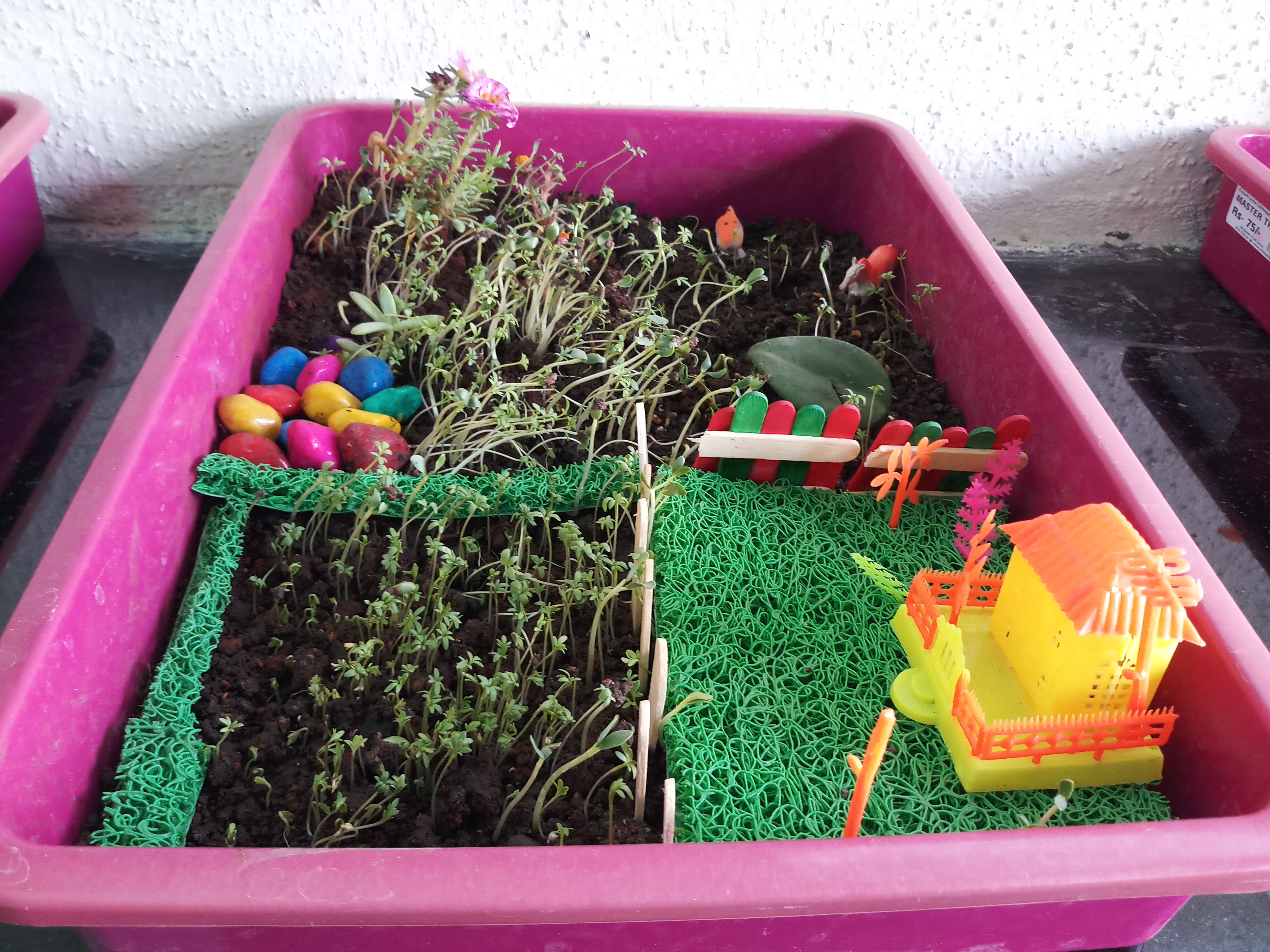 Montessori in Kadamwakwasti